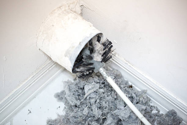 Best Professional Duct Cleaning Services  in Royston, GA